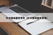 叶卡捷琳堡世界杯（叶卡捷琳堡体育场）