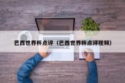 巴西世界杯点评（巴西世界杯点评视频）