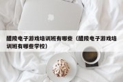 醴陵电子游戏培训班有哪些（醴陵电子游戏培训班有哪些学校）