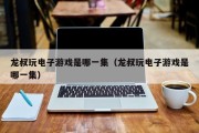 龙叔玩电子游戏是哪一集（龙叔玩电子游戏是哪一集）