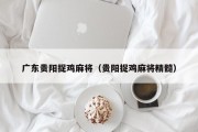 广东贵阳捉鸡麻将（贵阳捉鸡麻将精髓）